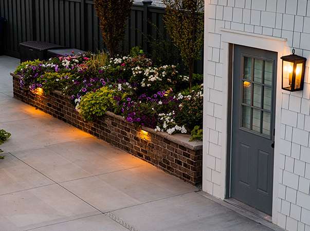 Illuminated garden wall with flowers at dusk.